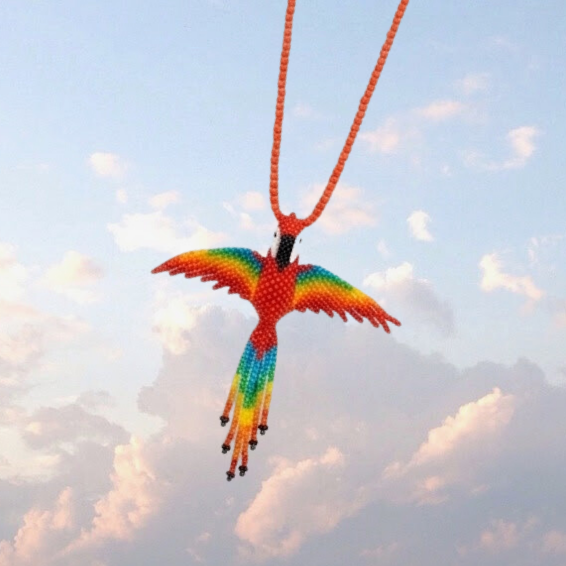 wings and freedom